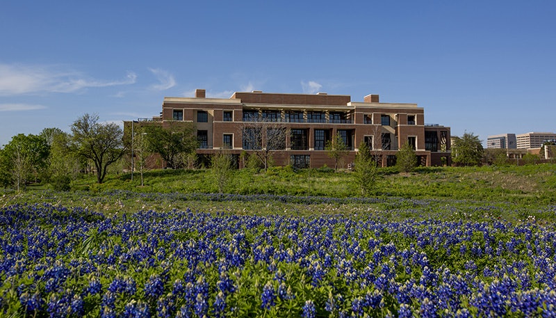 Bluebonnets in spring bloom in the Native Texas Park (Photo by Andrew Kaufmann/George W. Bush Presidential Center)
